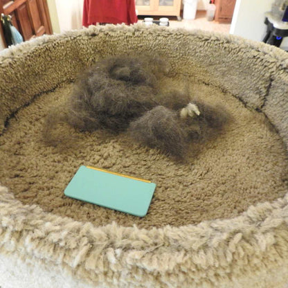FurClean™ Ultra Hair Cleaning Kit